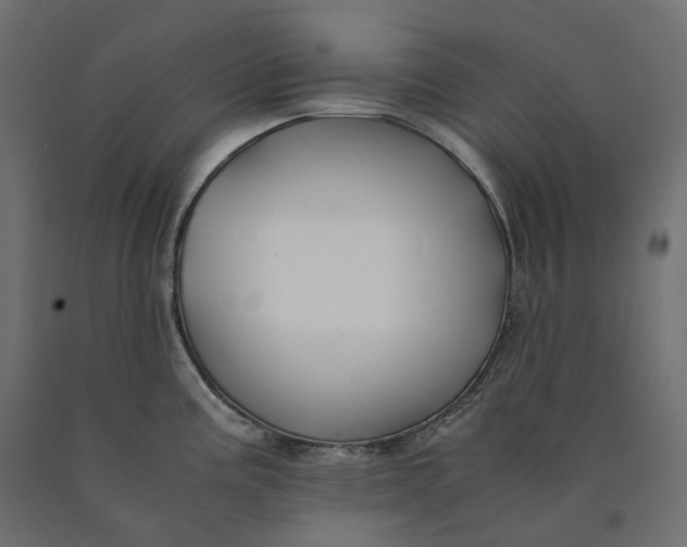 X0000090451195200708031210