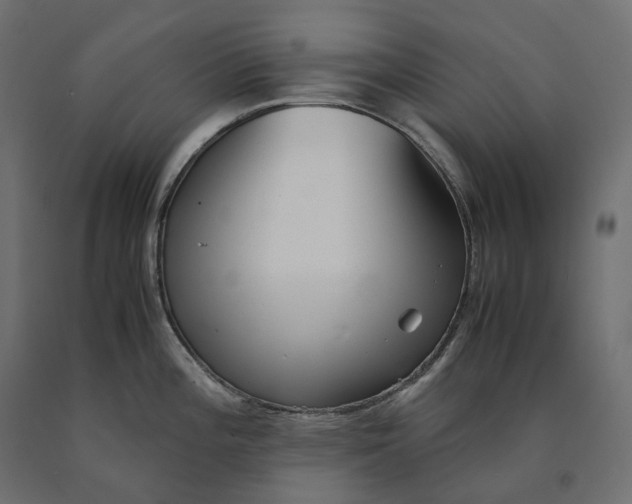 X0000090451196200708031210