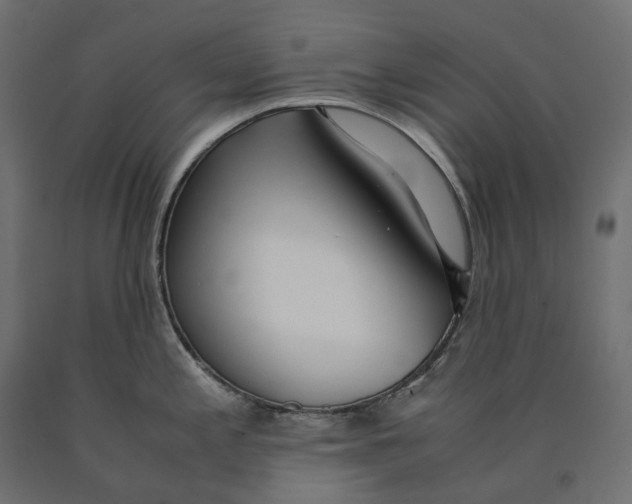 X0000090451197200708031210