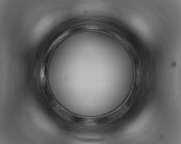 X0000090451198200708031210