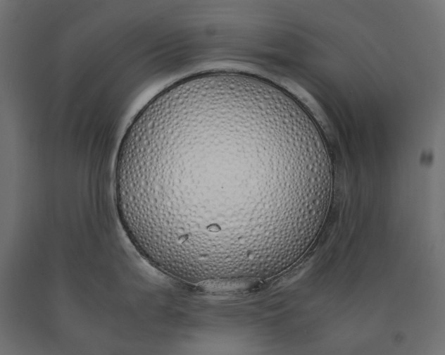 X0000090451199200708031210