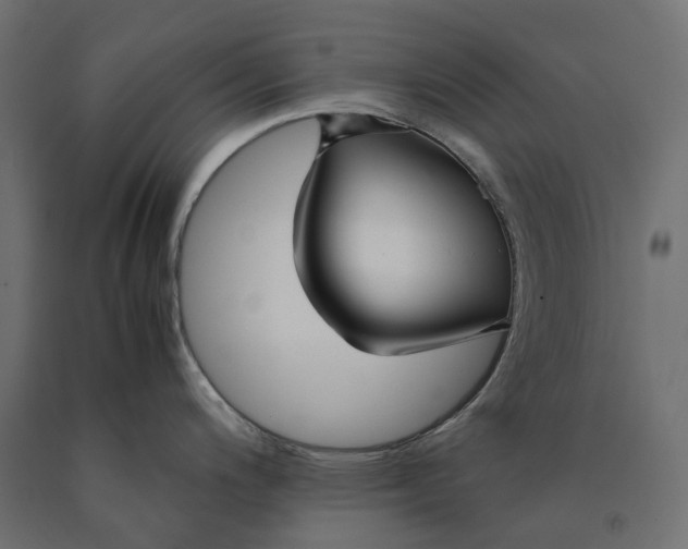 X0000090451200200708031210