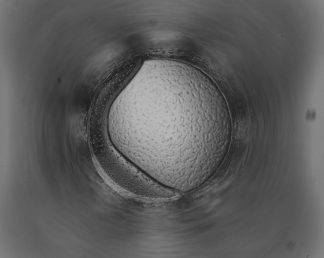 X0000090451202200708031209