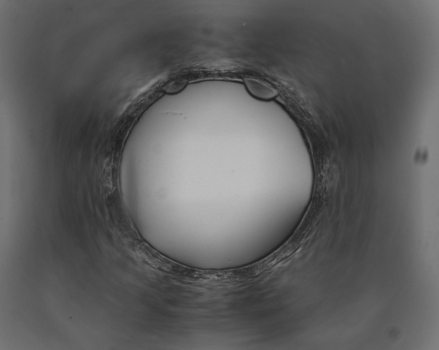 X0000090451205200708031209