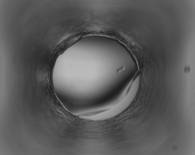 X0000090451206200708031209