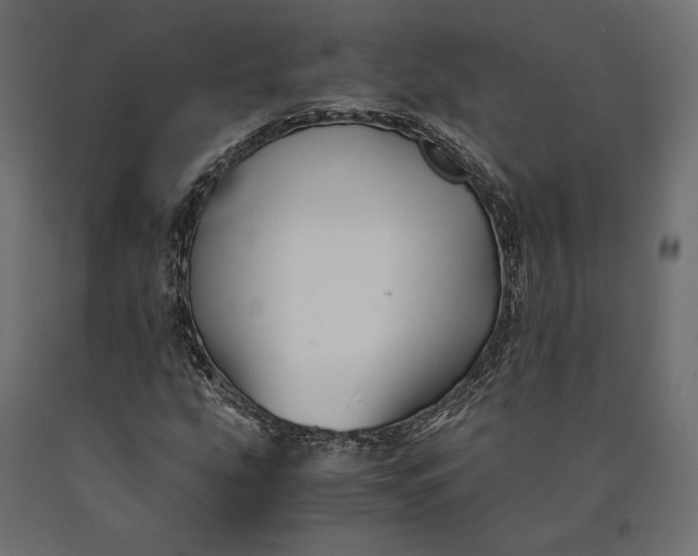 X0000090451207200708031209