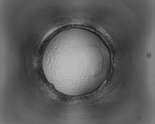 X0000090451208200708031209