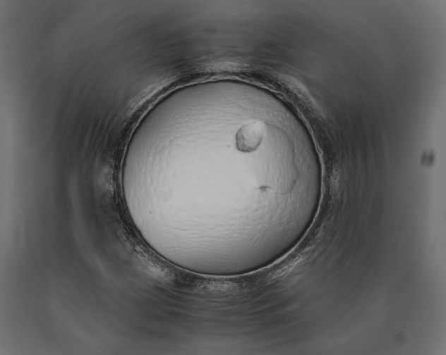 X0000090451209200708031209