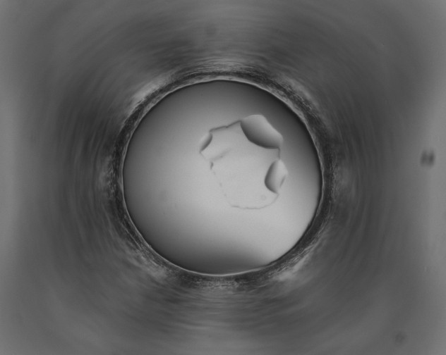 X0000090451210200708031209