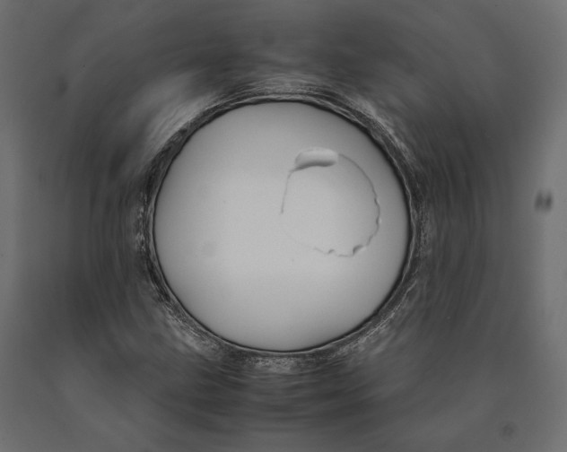 X0000090451211200708031209