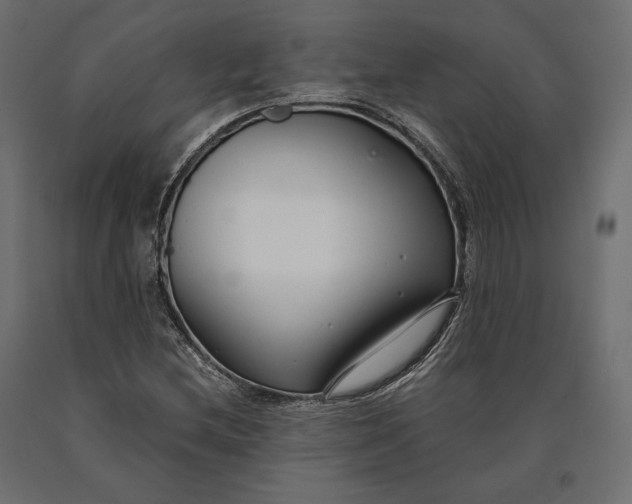 X0000090451212200708031209