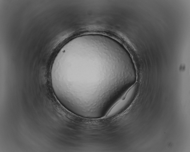 X0000090451213200708031209