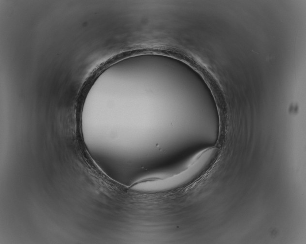 X0000090451214200708031209