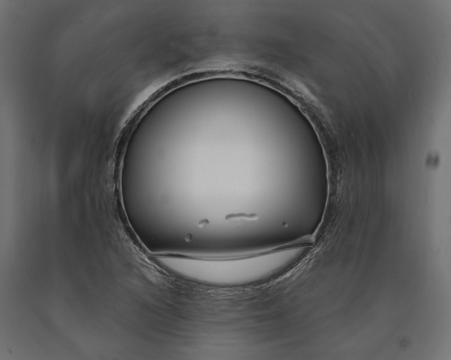 X0000090451216200708031209