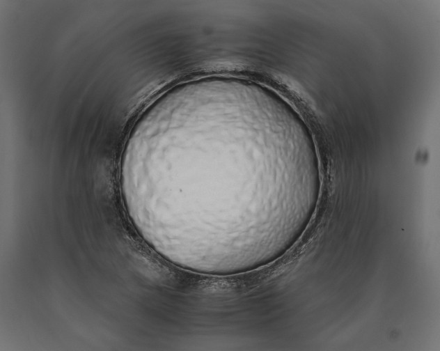 X0000090451217200708031209