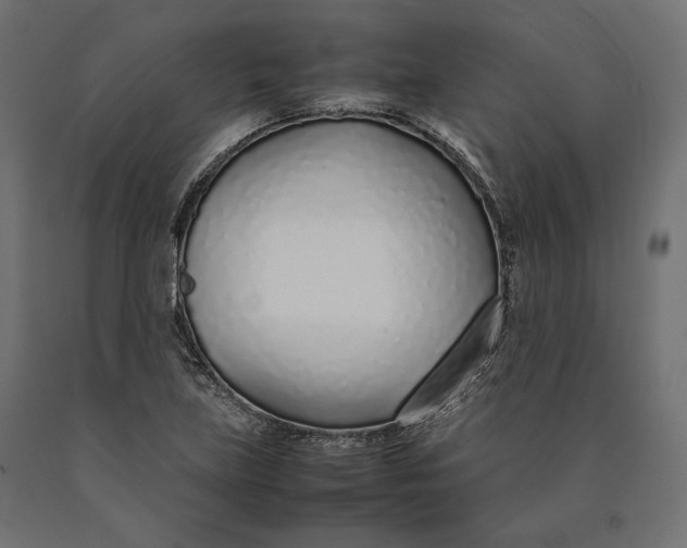 X0000090451219200708031209