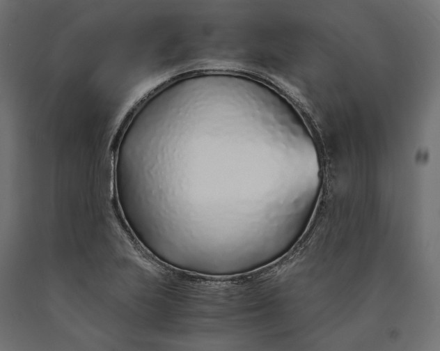 X0000090451223200708031209