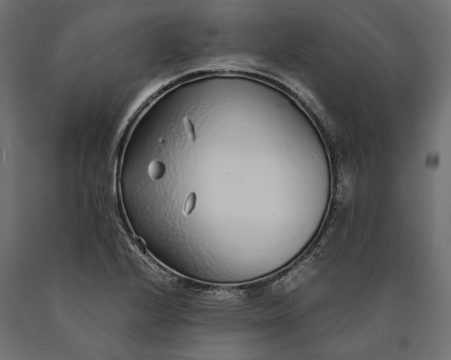 X0000090451224200708031209