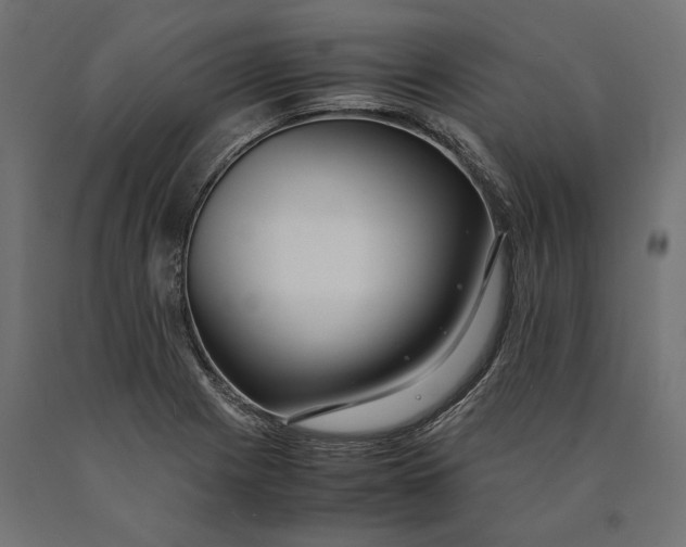 X0000090451225200708031209