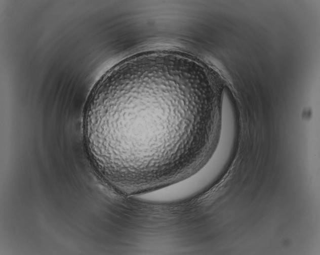 X0000090451226200708031209