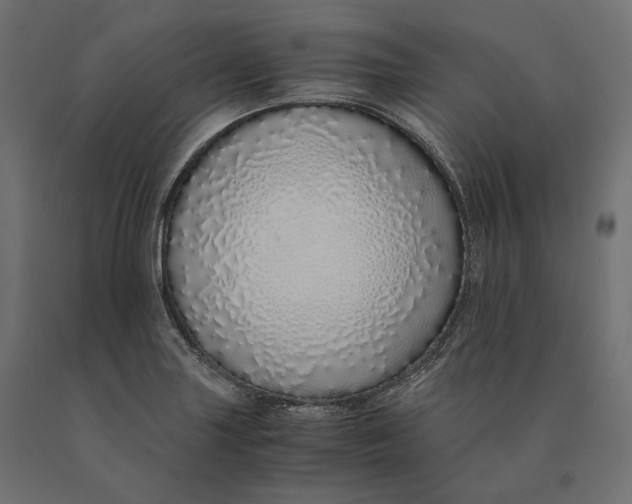 X0000090451227200708031209