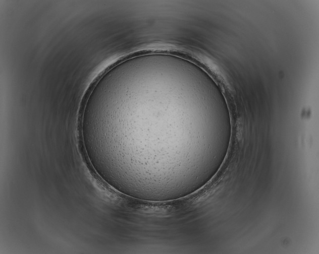 X0000090451229200708031209