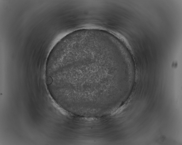 X0000090451231200708031210