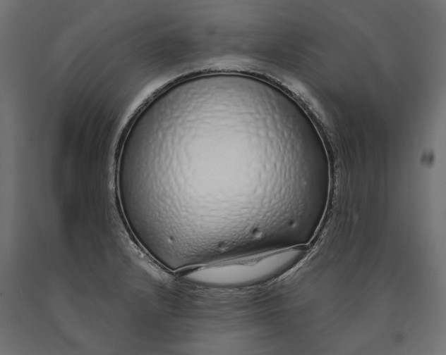 X0000090451232200708031210