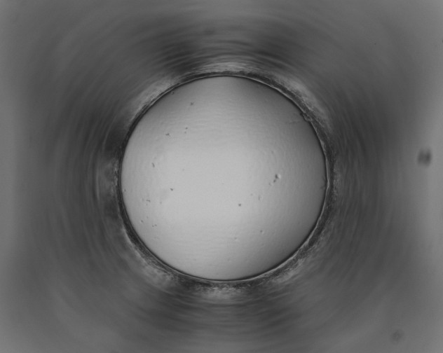 X0000090451233200708031210