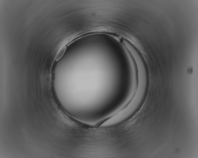 X0000090451234200708031210