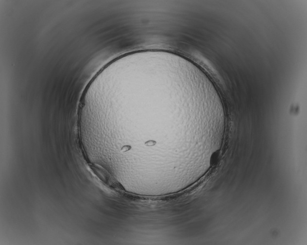 X0000090451236200708031210