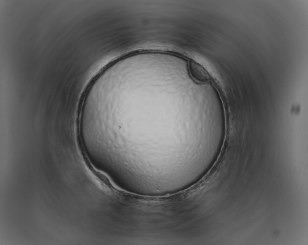 X0000090451237200708031210