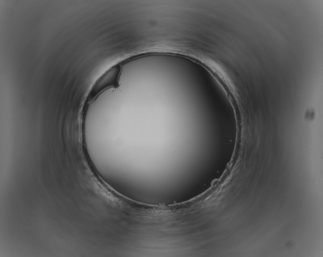 X0000090451238200708031210