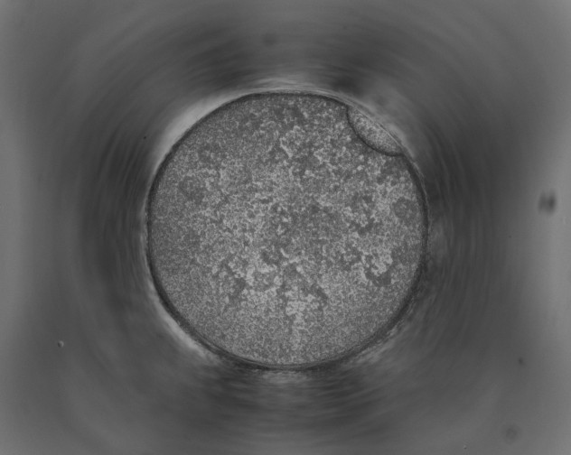 X0000090451239200708031210