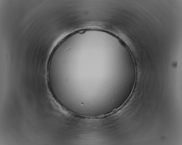 X0000090451240200708031210