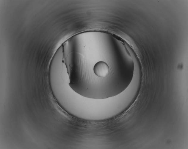 X0000090451242200708031210