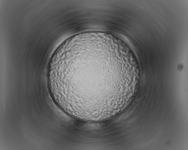 X0000090451243200708031210