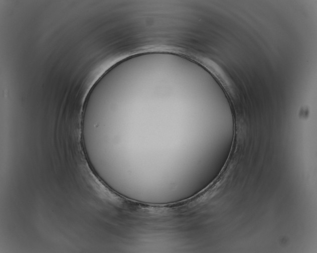 X0000090451244200708031210