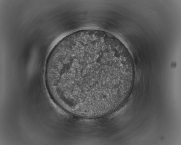 X0000090451245200708031210