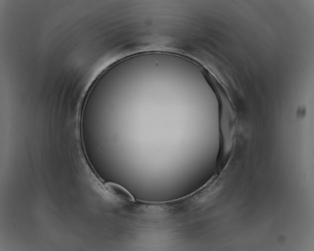 X0000090451246200708031210