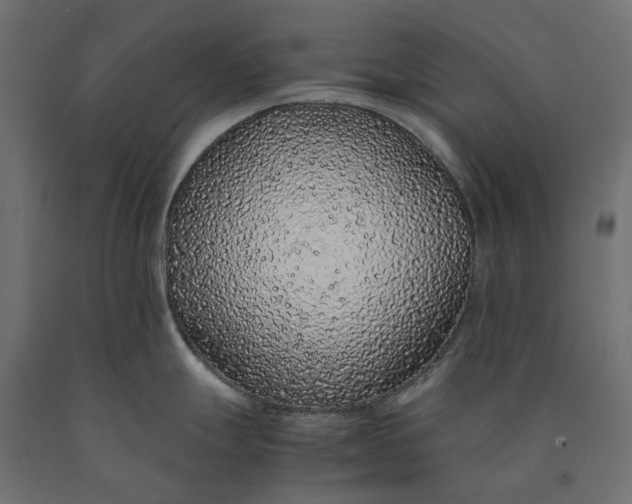 X0000090451247200708031210