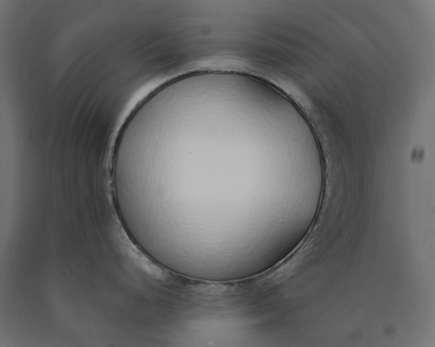 X0000090451248200708031210