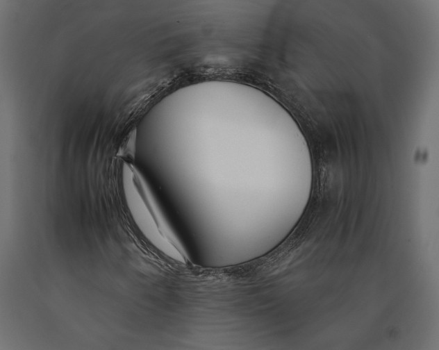 X0000090451250200708031209