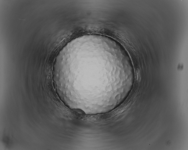 X0000090451251200708031209