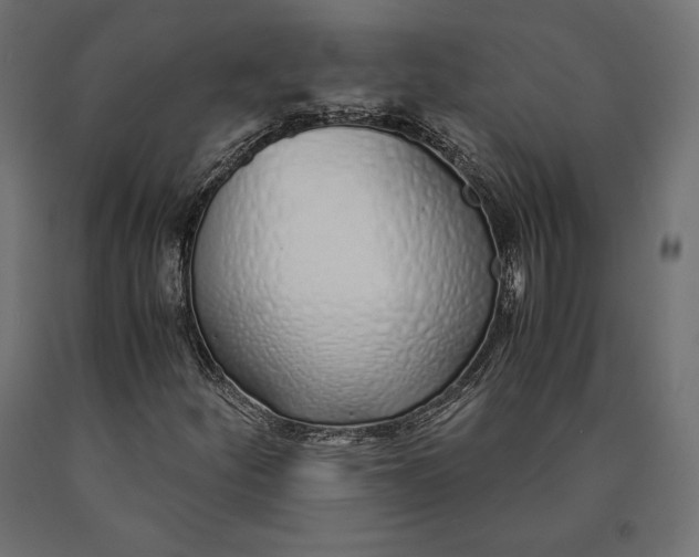 X0000090451252200708031209