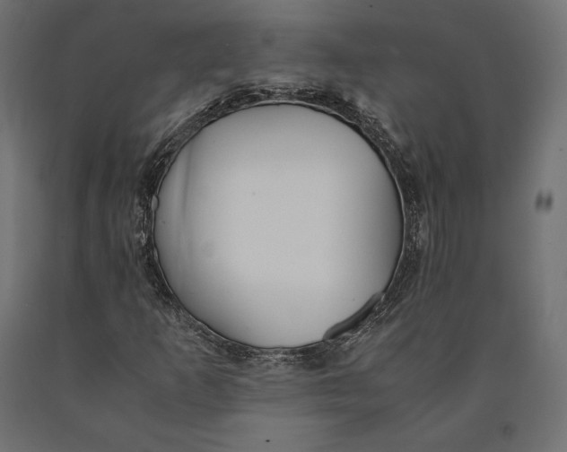 X0000090451253200708031209