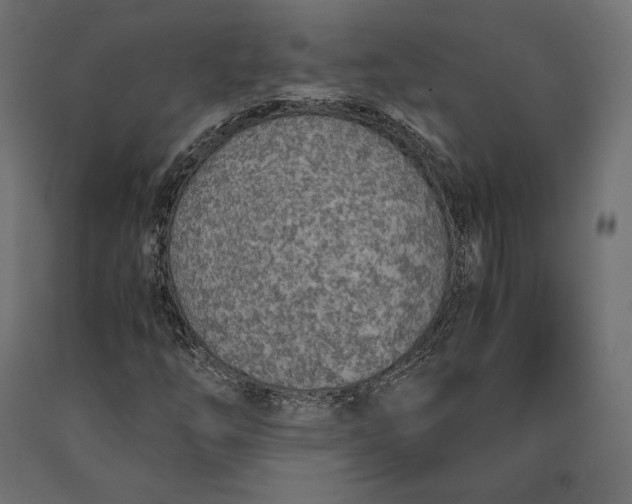 X0000090451254200708031209