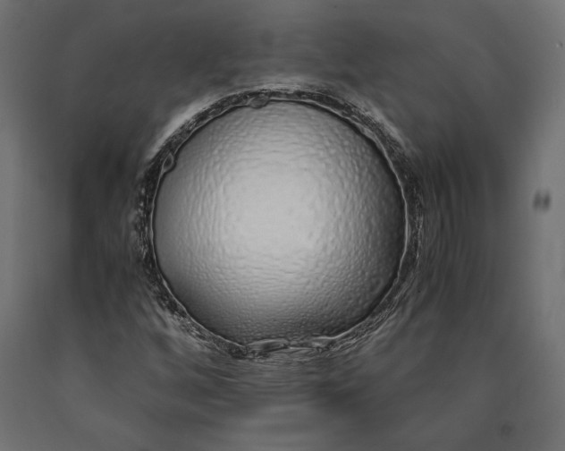 X0000090451256200708031209