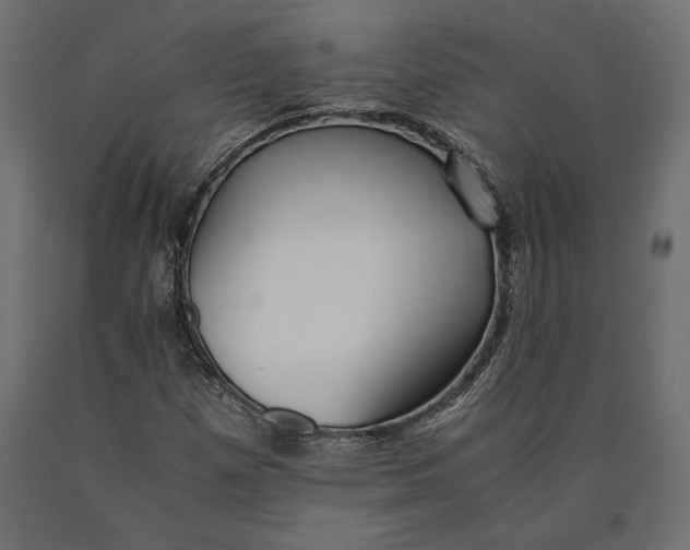 X0000090451257200708031209