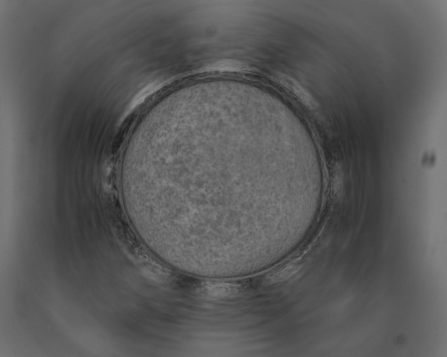 X0000090451258200708031209